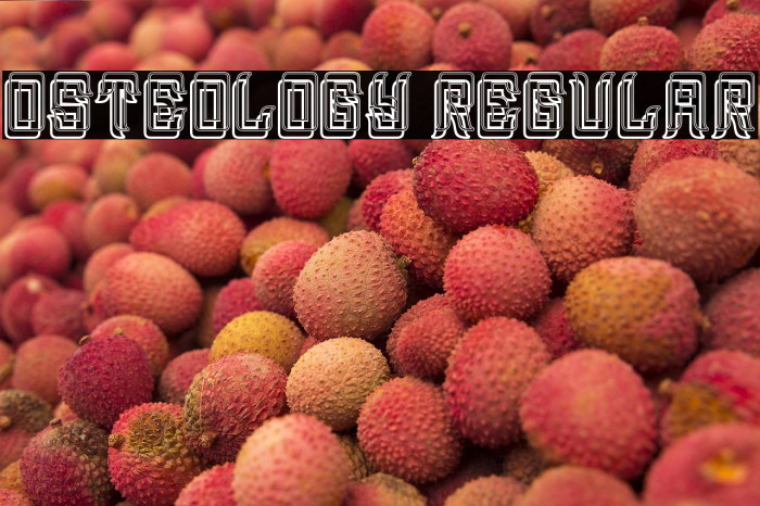 Osteology Regular Example 3