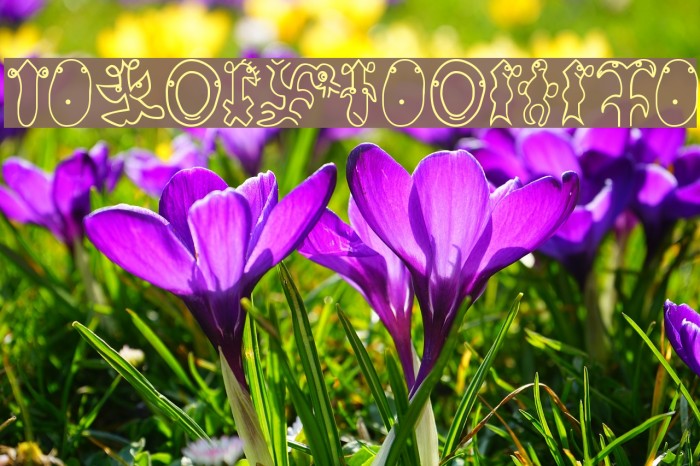 OsterinselPlus Font examples