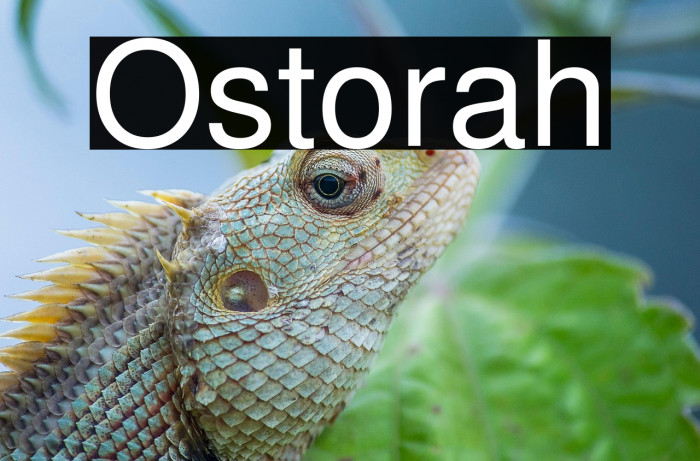 Ostorah Example 2
