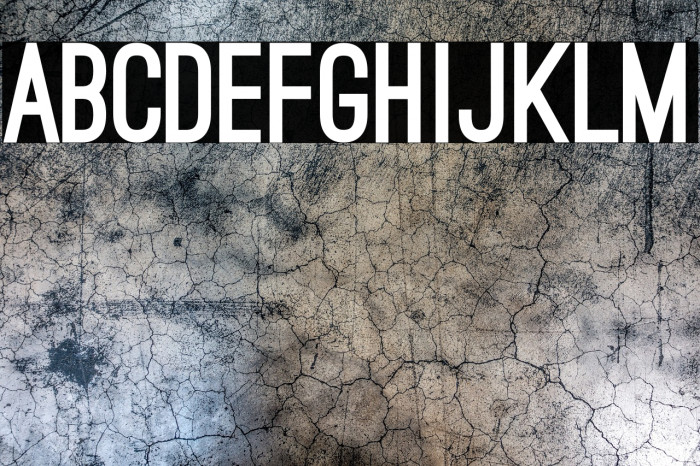 Ostrich Sans Black Example 2