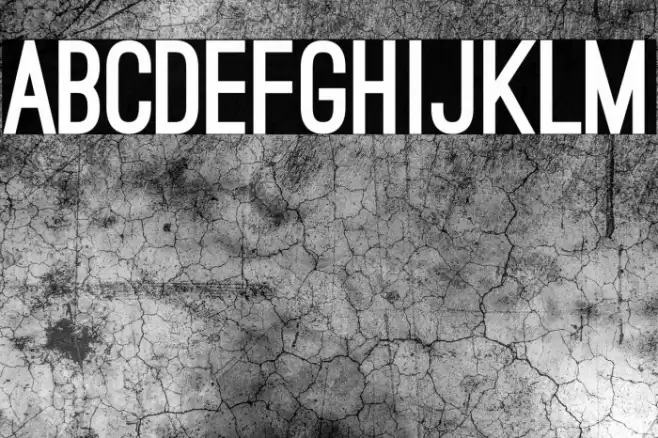 Ostrich Sans Black Font examples