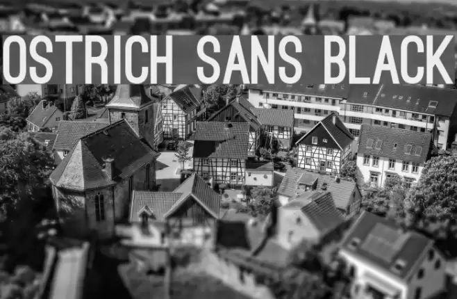 Ostrich Sans Black Font examples