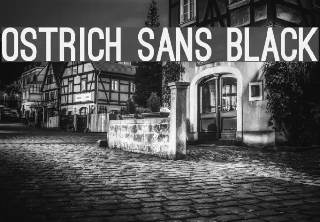 Ostrich Sans Black Font examples