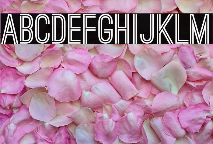 Ostrich Sans Bold Example 1