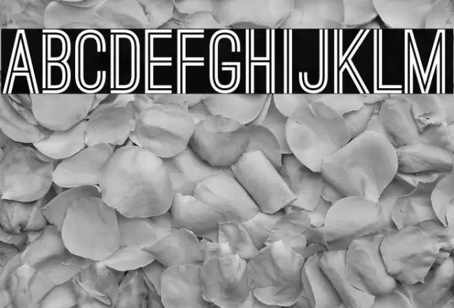 Ostrich Sans Bold Font examples