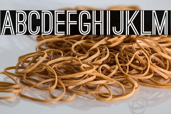 Ostrich Sans Bold Example 2