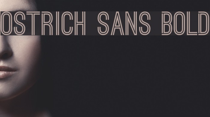 Ostrich Sans Bold Font examples