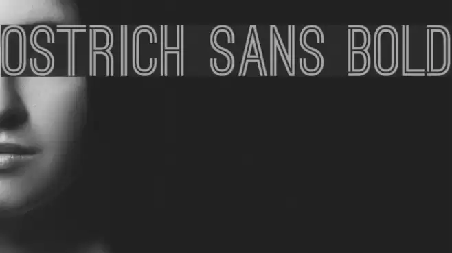Ostrich Sans Bold Font examples