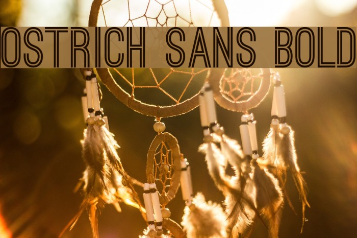 Ostrich Sans Bold Font examples