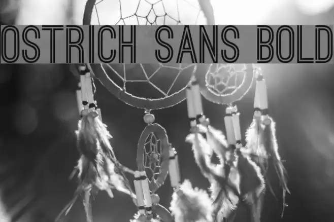 Ostrich Sans Bold Font examples