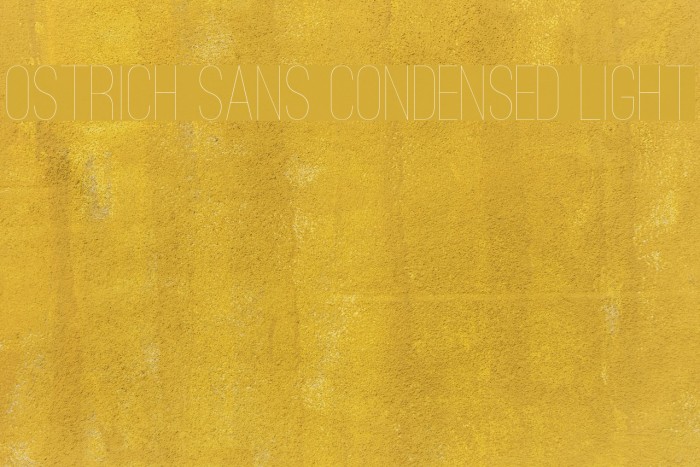 Ostrich Sans Condensed Light Font examples