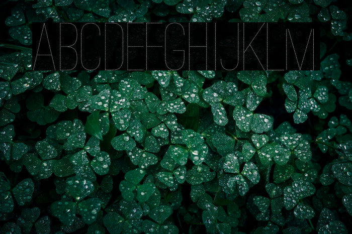 Ostrich Sans Dashed Medium Example 1