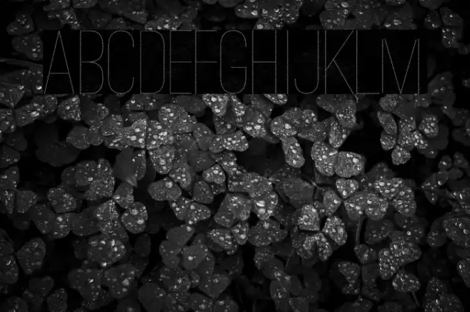 Ostrich Sans Dashed Medium Font examples