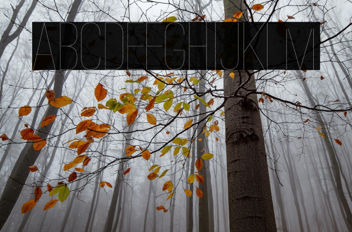 Ostrich Sans Dashed Medium Example 3