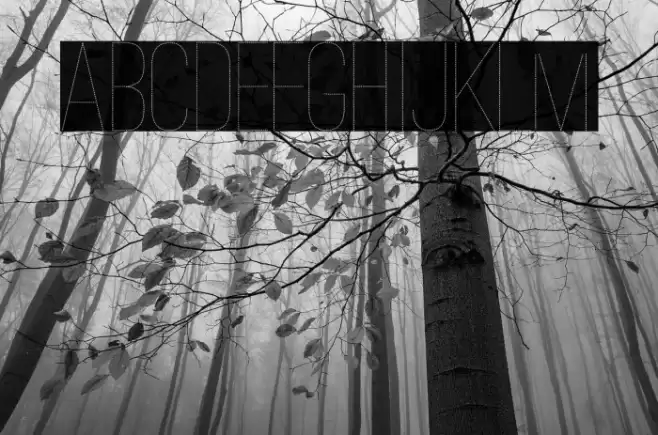 Ostrich Sans Dashed Medium Font examples