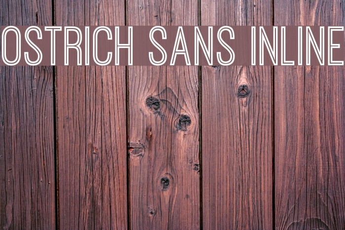 Ostrich Sans Inline Font examples