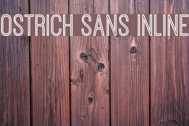 Ostrich Sans Inline Example 1