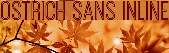 Ostrich Sans Inline Font examples