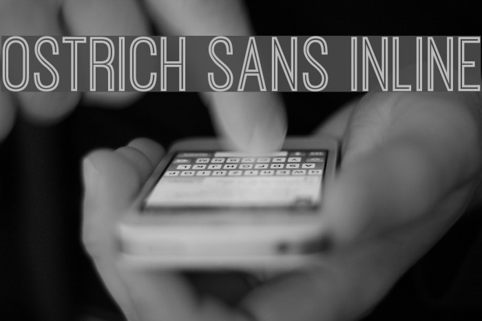 Ostrich Sans Inline Font examples
