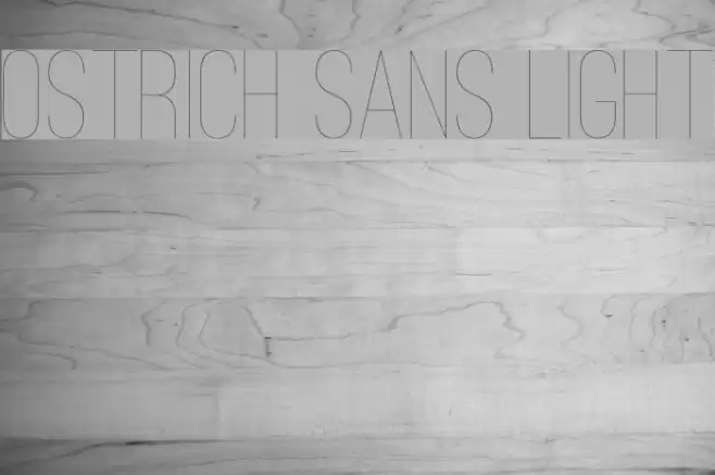 Ostrich Sans Light Font examples