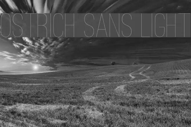 Ostrich Sans Light Font examples