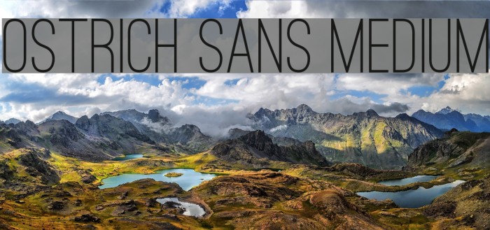 Ostrich Sans Medium Example 1