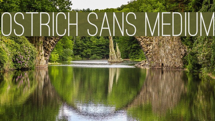 Ostrich Sans Medium Example 3