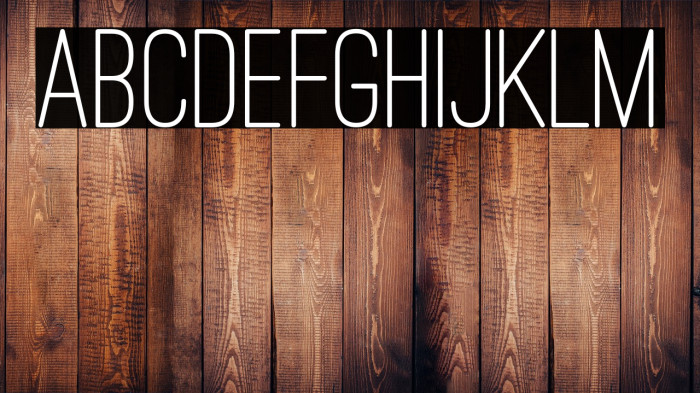 Ostrich Sans Rounded Medium Example 2