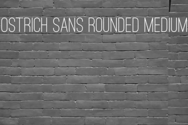 Ostrich Sans Rounded Medium Font examples