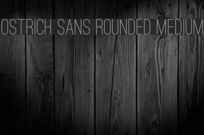Ostrich Sans Rounded Medium Font examples