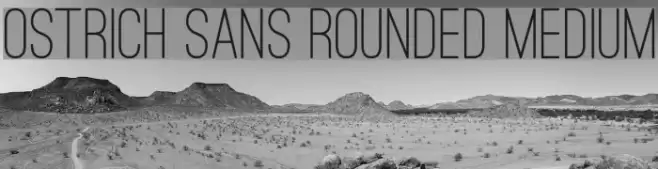 Ostrich Sans Rounded Medium Font examples