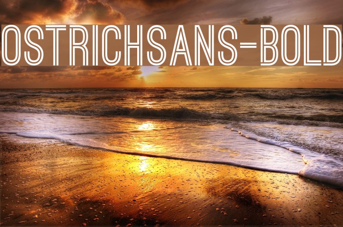 ostrichsans-bold 字体