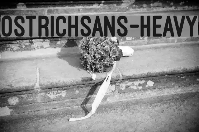 OstrichSans-Heavy Font examples