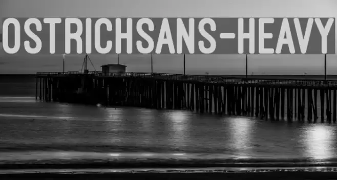 OstrichSans-Heavy Font examples