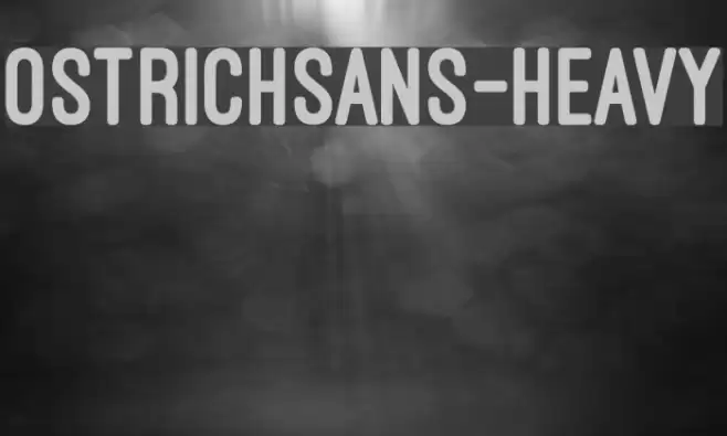 OstrichSans-Heavy Font examples