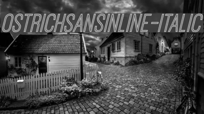 OstrichSansInline-Italic Font examples