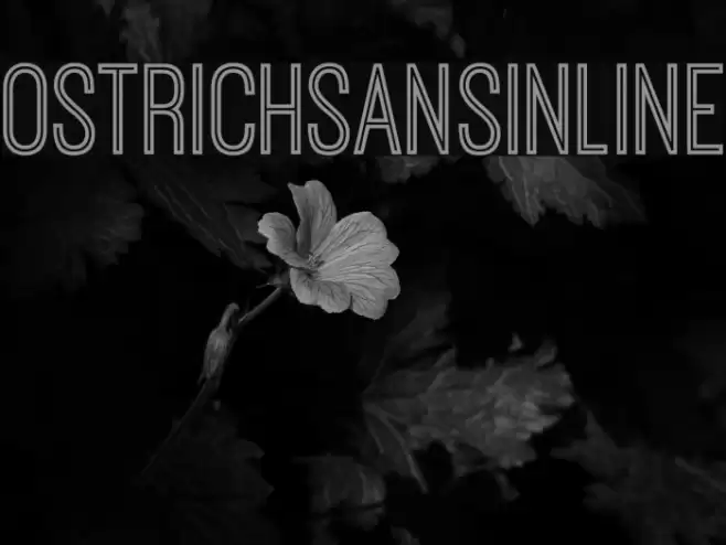 OstrichSansInline Font examples