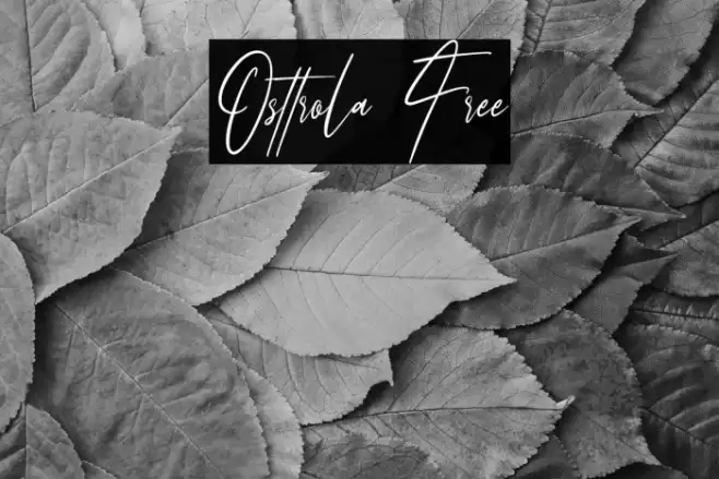 Osttrola Free Font examples