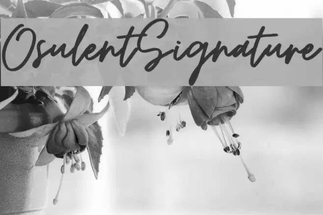 OsulentSignature Font examples