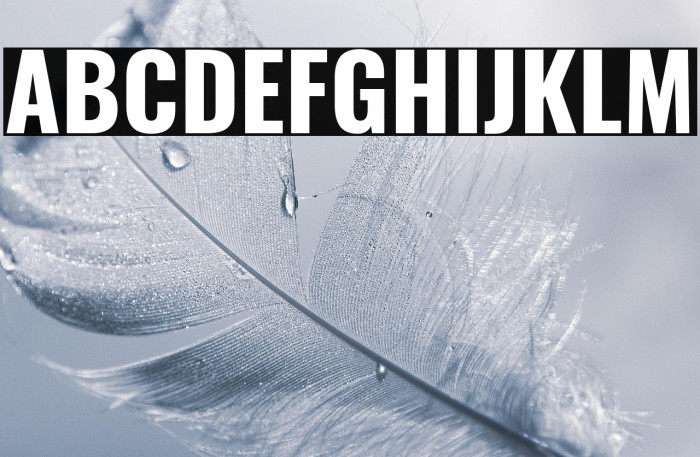 Oswald Bold Example 1