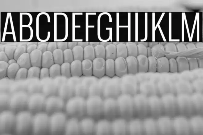 Oswald Light Font examples