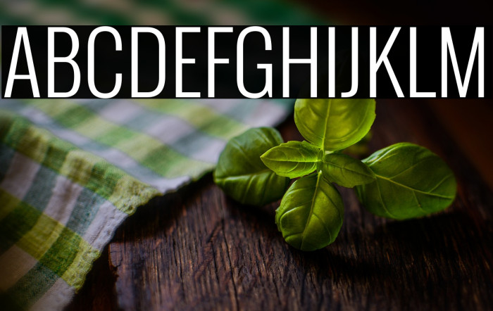 Oswald Light Example 3