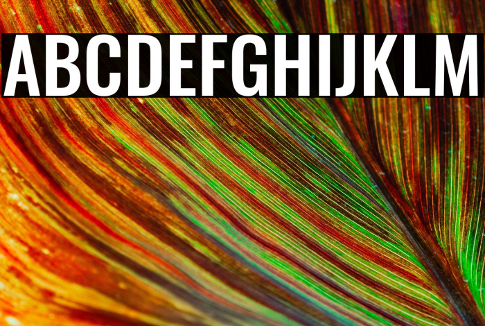 Oswald Medium Example 3