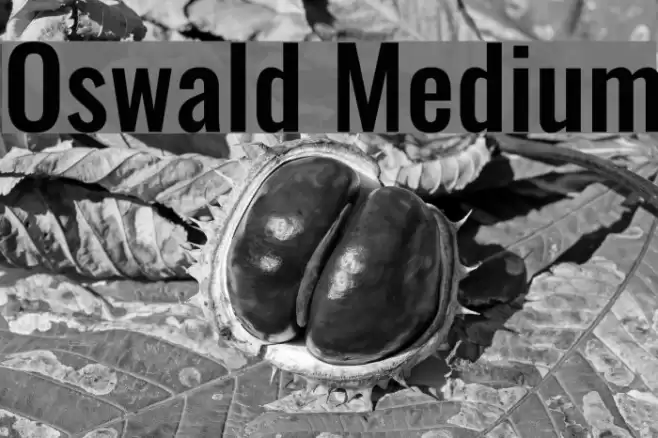 Oswald Medium Font examples