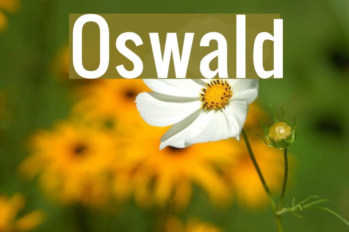 Шрифт oswald