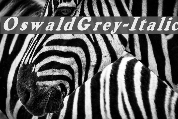 OswaldGrey-Italic フォント examples