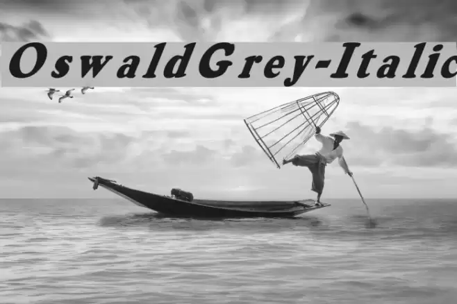 OswaldGrey-Italic Font examples