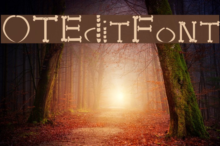 OTEditFont Font examples