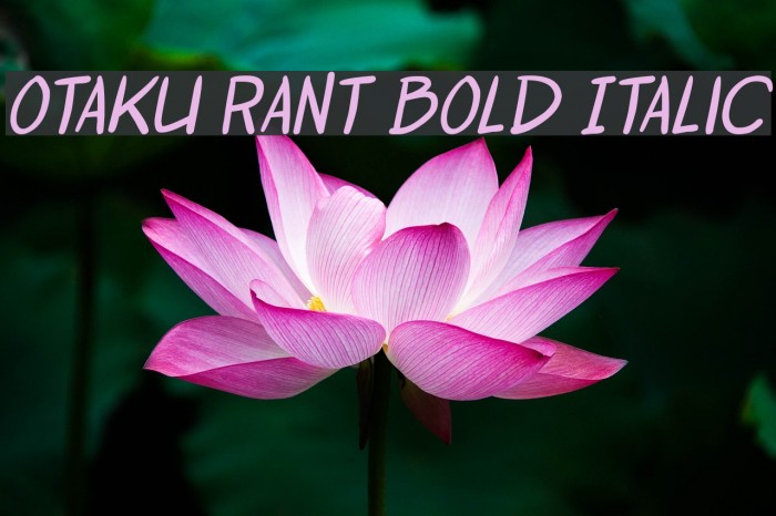 Otaku Rant Bold Italic Font examples