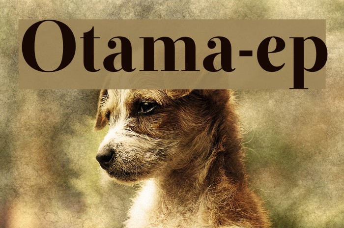 Otama-ep Font examples